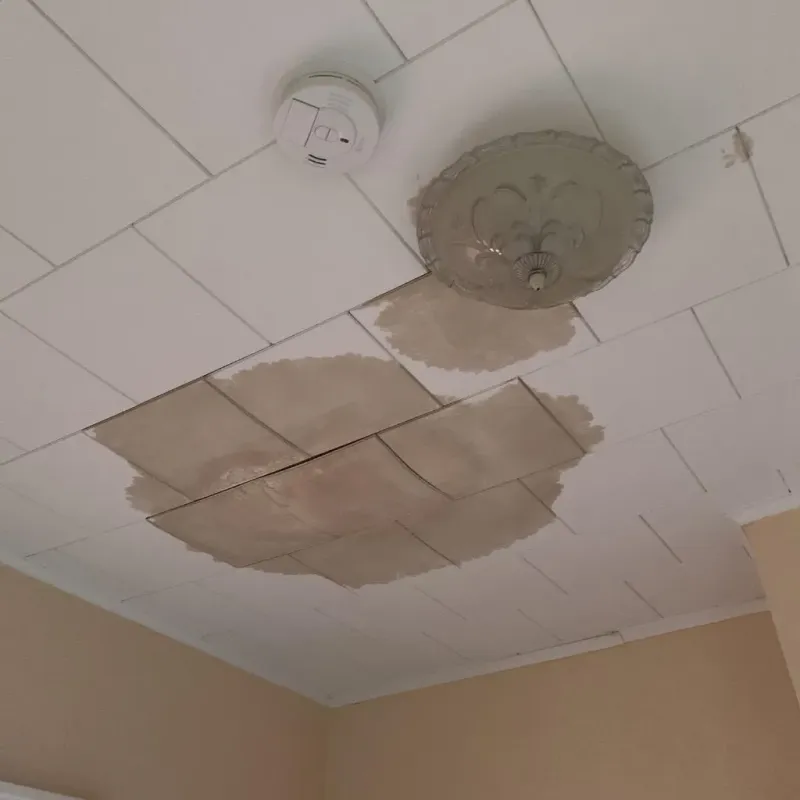 Ceiling Water Damage Repair in Lakeville, MN